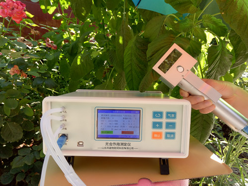 植物氣孔針有何應(yīng)用？